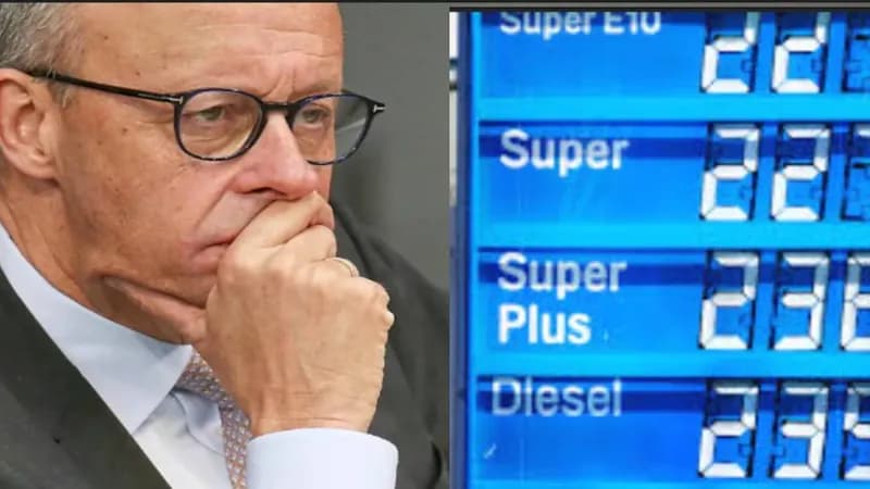 Merz Spritpreis